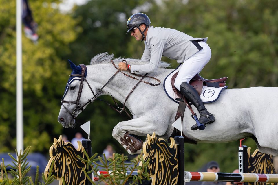 Fellaini de Liebri Z - Marcus Westergren - ©Boots and Hooves Photography Fellaini de Liebri Z - Marcus Westergren - ©Boots and Hooves Photography