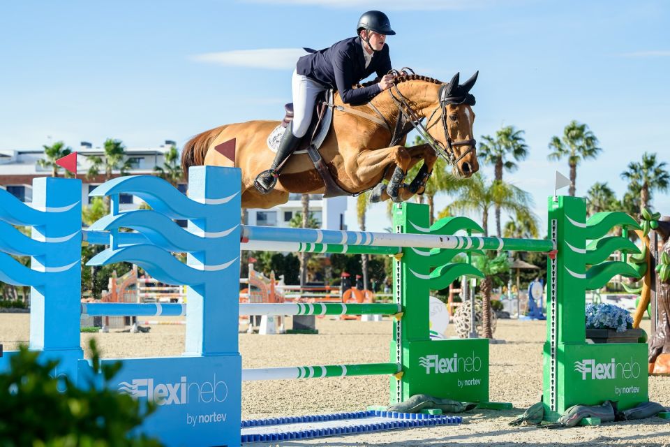 Halima van het Bonte Hof Z - Andres Vereecke - ©MET - Herve Bonnaud