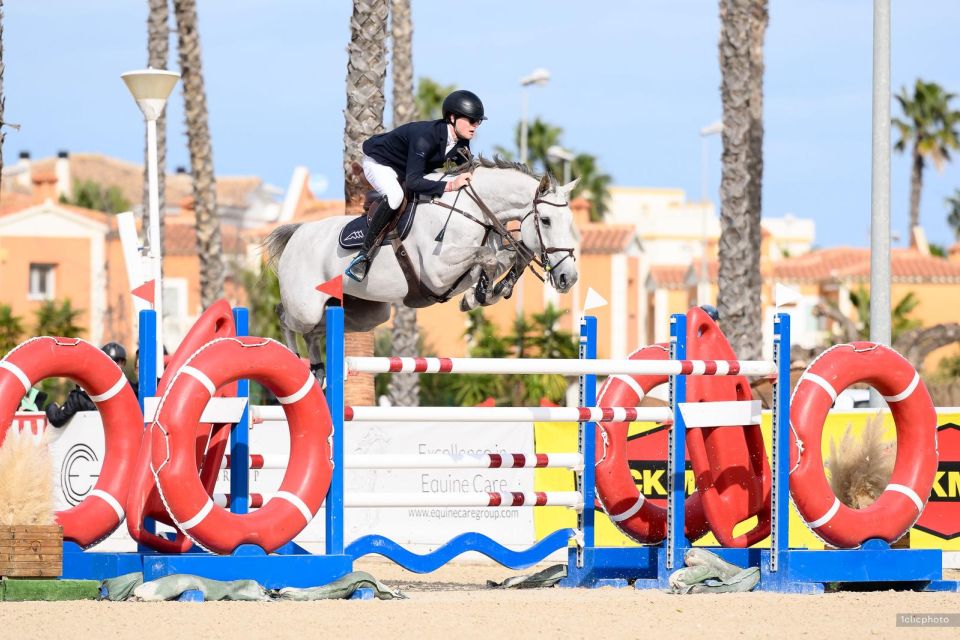 Vamos de la Pomme d'Or Z - Bart Jay Junior Vandecasteele - &copy;Bart Vandecasteele