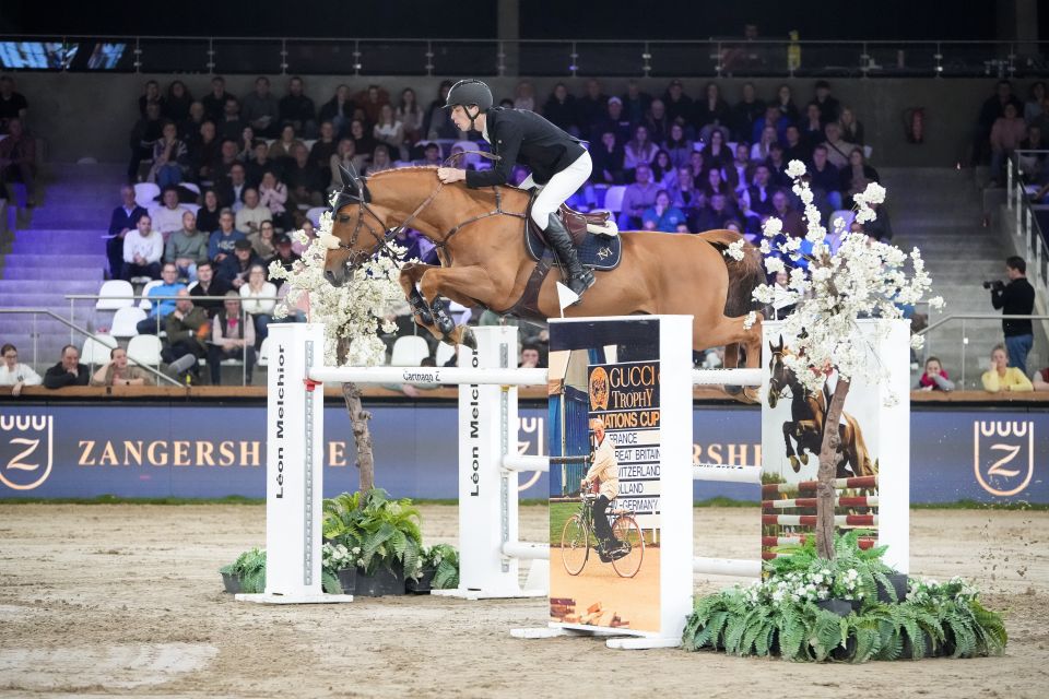 Goldeneye Gem - Seppe Wouters - &copy;Sportfot 'The Zangersheide International'