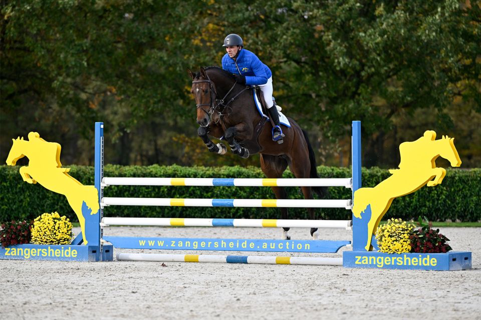 Quickstep Z Quickstep Z
