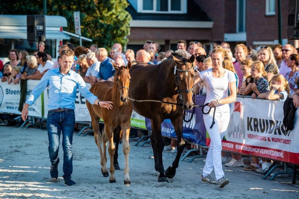 nieuws-katowice-vs-znicole-scholten-102327 nieuws-katowice-vs-znicole-scholten-102327