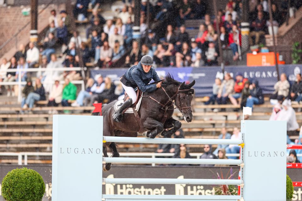 Elfra van Beek Z - Gilles Thomas - ©LGCT Stockholm (2) Elfra van Beek Z - Gilles Thomas - ©LGCT Stockholm (2)