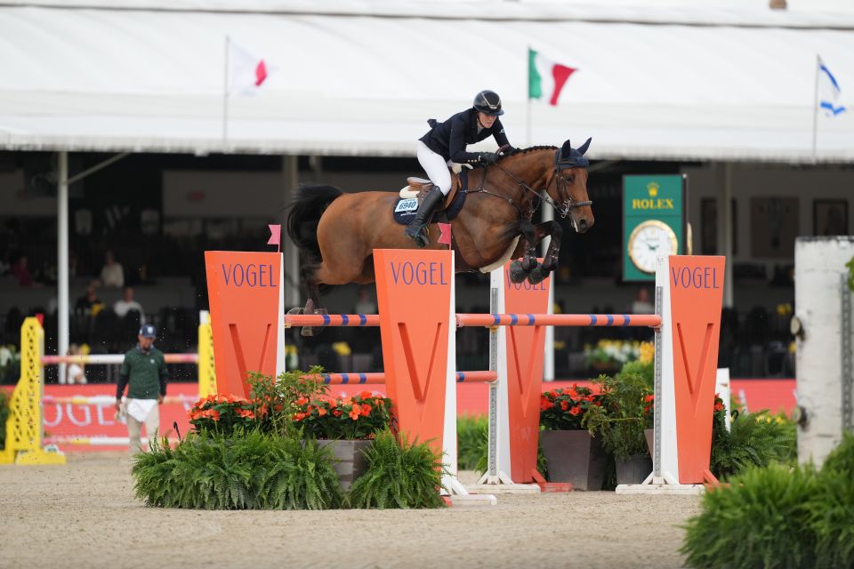 Sevilla Van De Berghoeve Z - Niamh McEvoy - Sportfot WEF 12 Sevilla Van De Berghoeve Z - Niamh McEvoy - Sportfot WEF 12