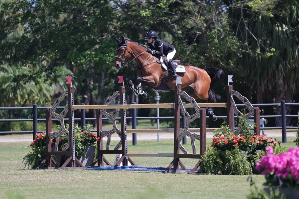 Loulou M.p.s. Z - Lacey Gilbertson - ©Sportfot Loulou M.p.s. Z - Lacey Gilbertson - ©Sportfot