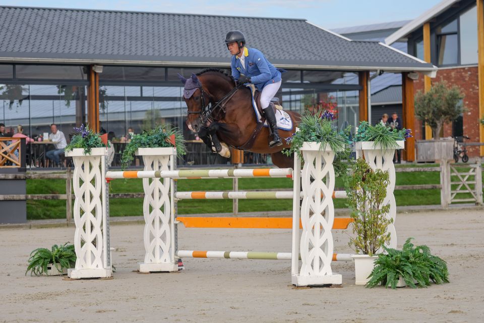 Dacantos Boy Z - Christian Ahlmann - ©Sportfot Dacantos Boy Z - Christian Ahlmann - ©Sportfot