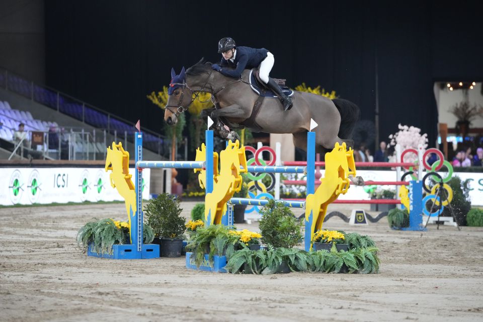 Omanka-A - Christophe Boden - &copy;Sportfot 'The Zangersheide International'