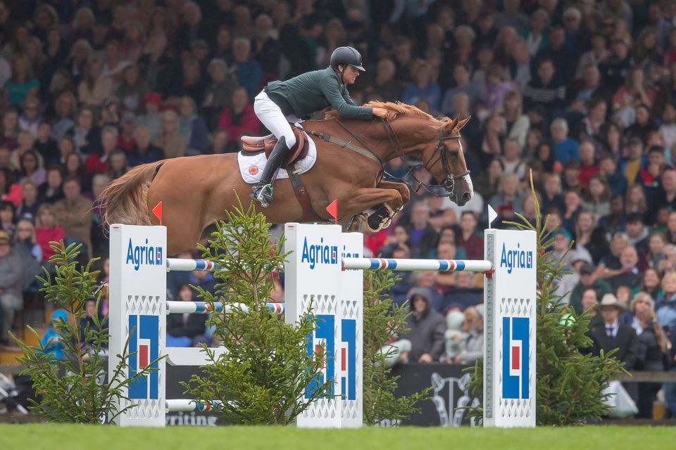 BH_HICK_PV_20230730-6 BH_HICK_PV_20230730-6