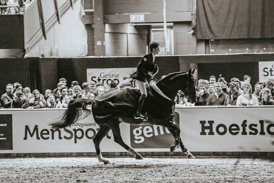 Impress-K Van 't Kattenheye Z - Thibeau Spits - ©Zahra De Meyer (3) Impress-K Van 't Kattenheye Z - Thibeau Spits - ©Zahra De Meyer (3)