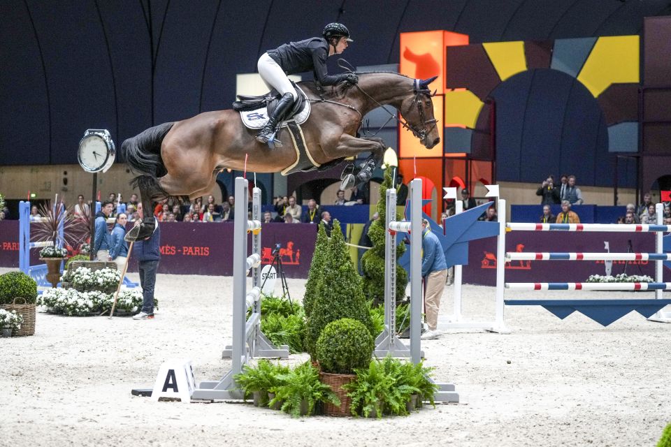 Tabasco de Toxandria Z - Kendra Claricia Brinkop - ©Sportfot Tabasco de Toxandria Z - Kendra Claricia Brinkop - ©Sportfot
