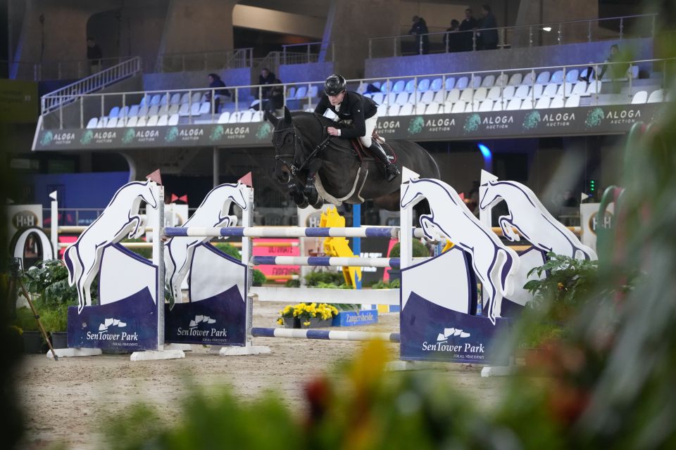 Joep Schaap - Cadeauminka - ©Sportfot - The Zangersheide International Joep Schaap - Cadeauminka - ©Sportfot - The Zangersheide International