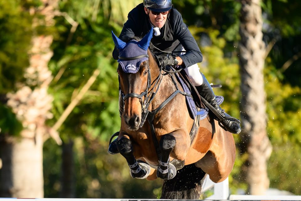 Charming Dream Z - Niall Talbot - ©MET - Herve Bonnaud