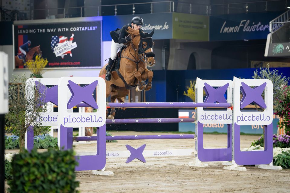 Modesto - Przemyslaw Konopacki - &copy;Sportfot 'The Zangersheide International'