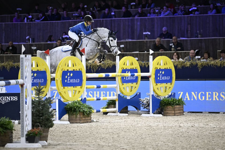 Allroad 2000 Z - Angelique Rüsen - ©Paardenfotograaf Allroad 2000 Z - Angelique Rüsen - ©Paardenfotograaf