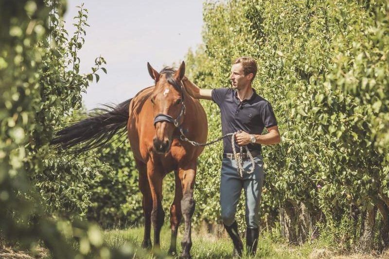 Claire Z - Pieter Devos - ©Devos Stables Claire Z - Pieter Devos - ©Devos Stables