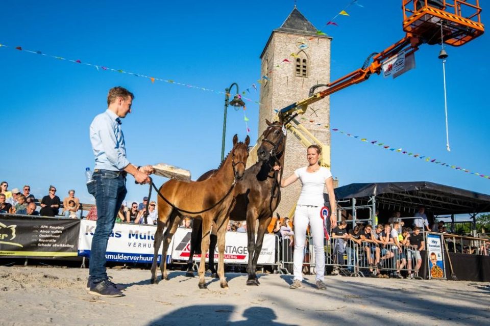 nieuws-katowice-vs-z-2nicole-scholten nieuws-katowice-vs-z-2nicole-scholten