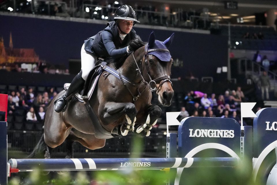 T-Gavoli Z - Ebba Danielsson - ©Sportfot T-Gavoli Z - Ebba Danielsson - ©Sportfot