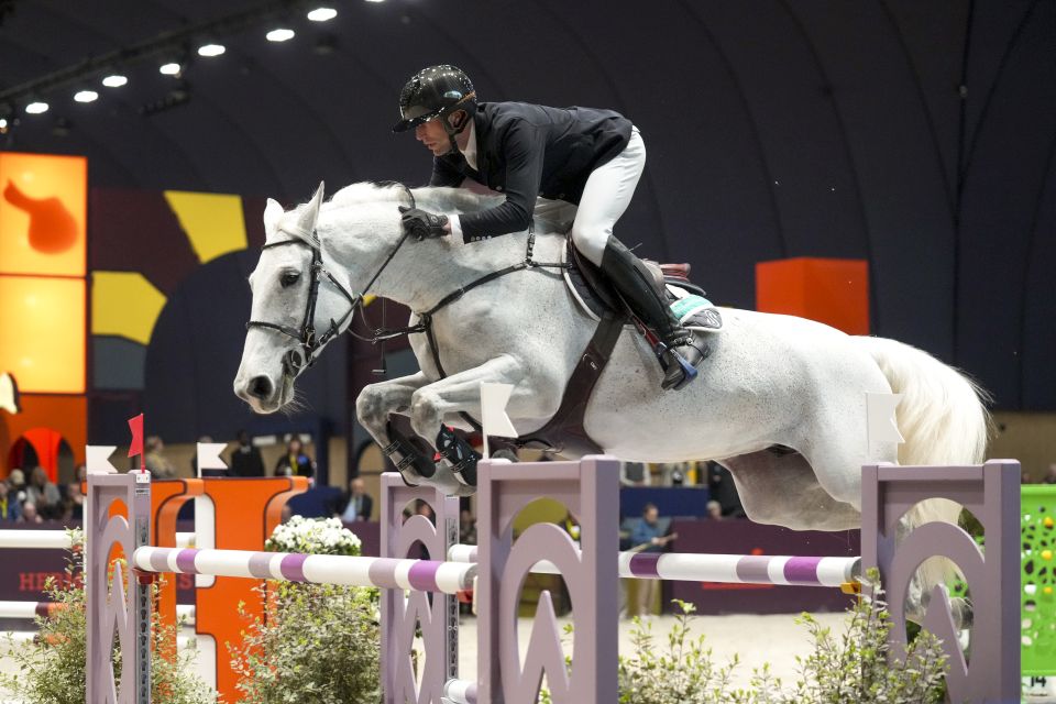 Cloe GP Z - Kevin Staut - ©Sportfot Cloe GP Z - Kevin Staut - ©Sportfot