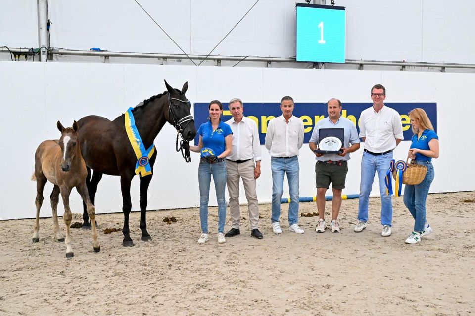 Montevideo Z (Mylord Carthago x Taloubet Z) Montevideo Z (Mylord Carthago x Taloubet Z)