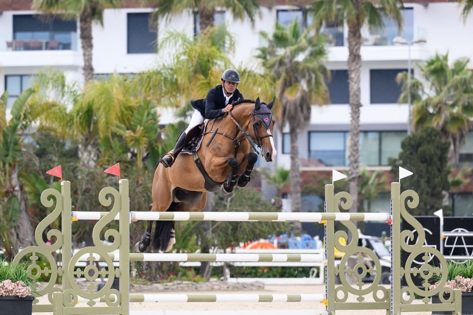 Belano Vd Wijnhoeve Z - Mariano Martinez Bastida - ©Hervé Bonnaud Belano Vd Wijnhoeve Z - Mariano Martinez Bastida - ©Hervé Bonnaud