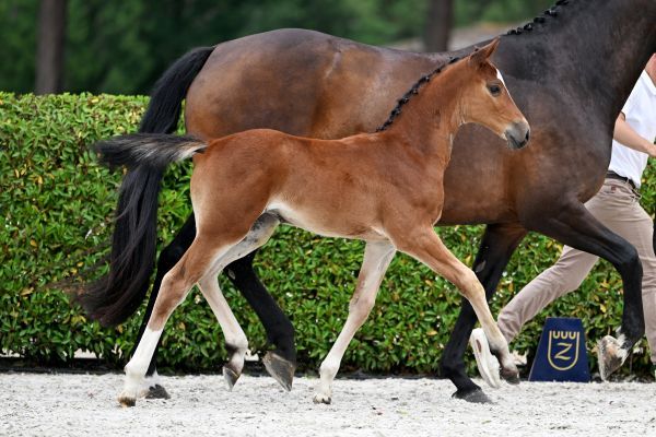 9656-379_3065 Haley PH Z draf 9656-379_3065 Haley PH Z draf