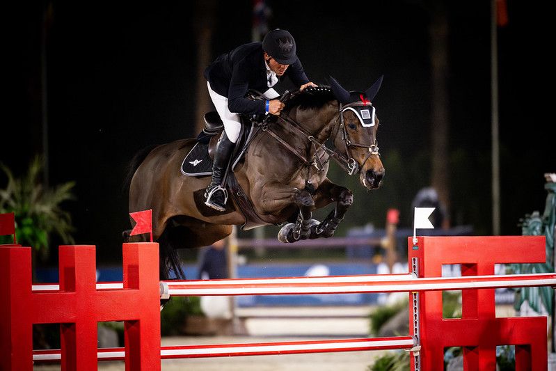 Kayenne Z - Kyle King - &copy;FEI - Sara Shier (2)