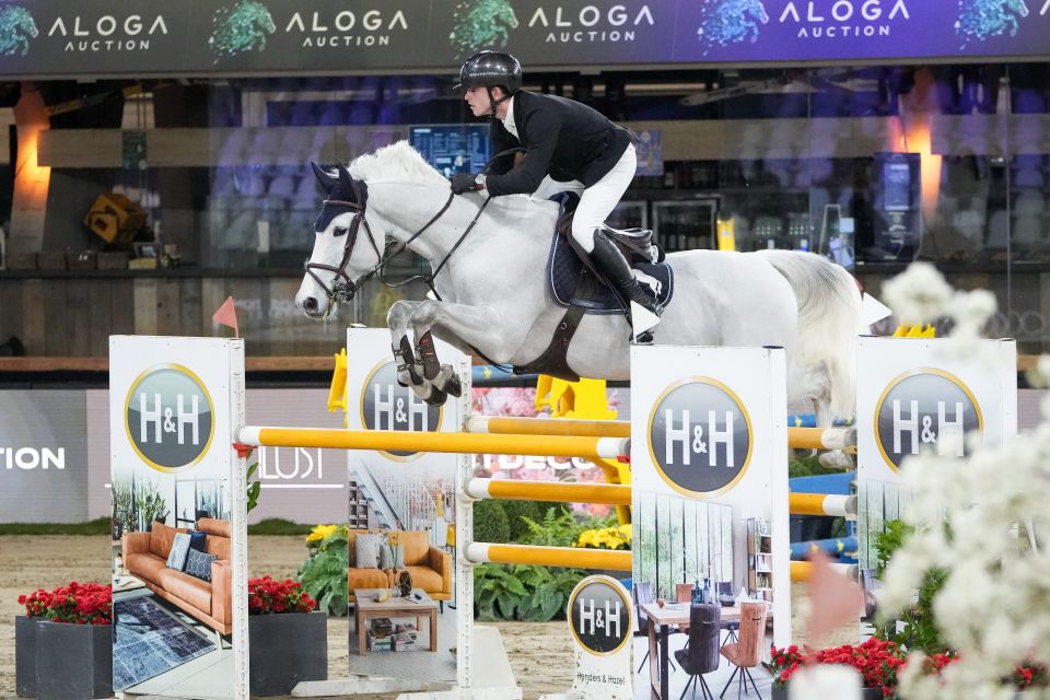 Quasca Artist Vd Guldennagel &ndash; V - Tim Prouv&eacute; - &copy;Sportfot 'The Zangersheide International' (2)