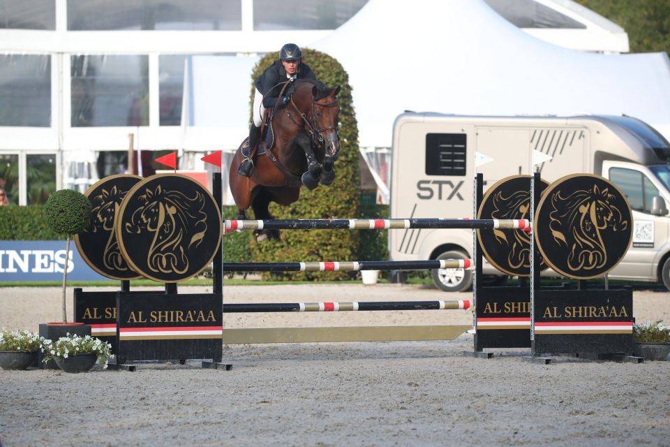 Chacco Me Biolley - Niels Fockaert - ©Sportfot Zangersheide Chacco Me Biolley - Niels Fockaert - ©Sportfot Zangersheide