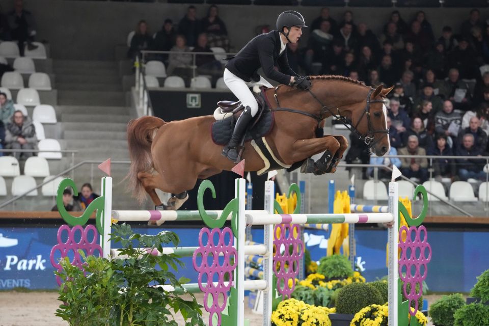 Seppe Wouters - Quito de Mariposa - ©Sportfot - The Zangersheide International (1) Seppe Wouters - Quito de Mariposa - ©Sportfot - The Zangersheide International (1)