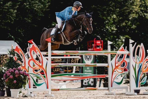 Querido VG Z - Christian Ahlmann - ©Christian Ahlmann Querido VG Z - Christian Ahlmann - ©Christian Ahlmann