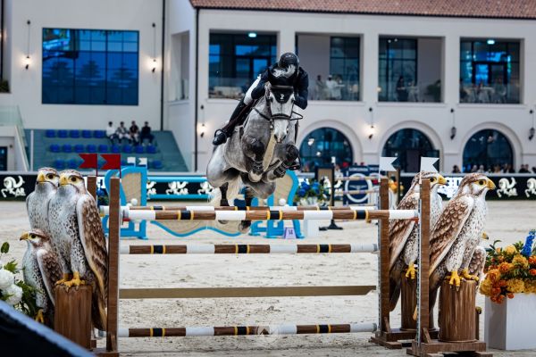 Calixte Heartbreaker Z - Alexander McLean - &copy;Equisportif
