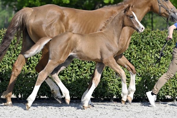 Uzuri 1991 Z 2 Uzuri 1991 Z 2