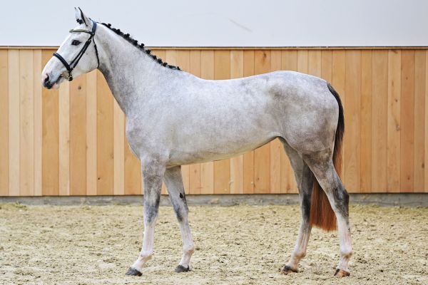 ESPERANZA Z 3 ESPERANZA Z 3