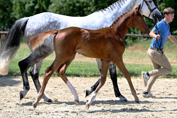 DSC_9016 odette DSC_9016 odette