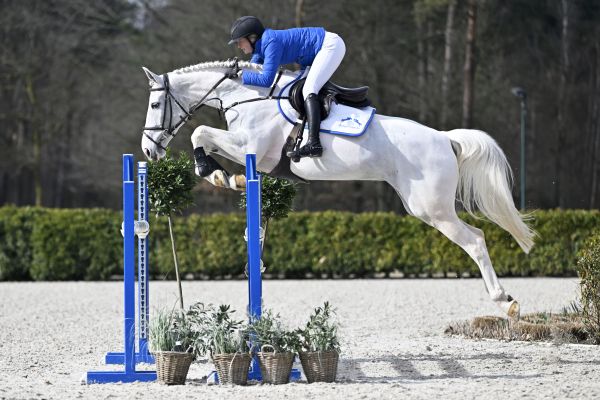 L'ALBERTINE SITTE 2 L'ALBERTINE SITTE 2