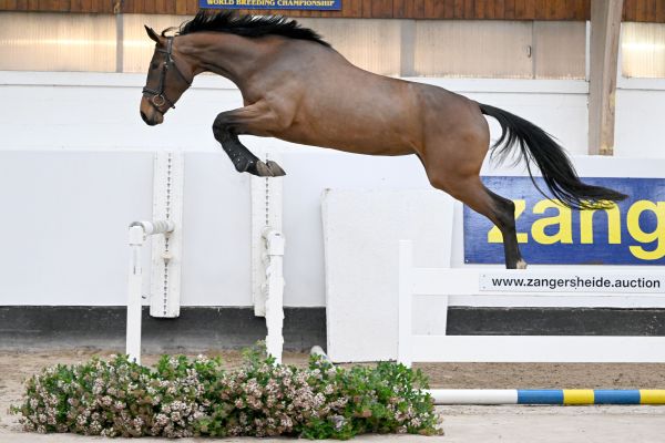 ASATIR VAN PERZI Z ASATIR VAN PERZI Z