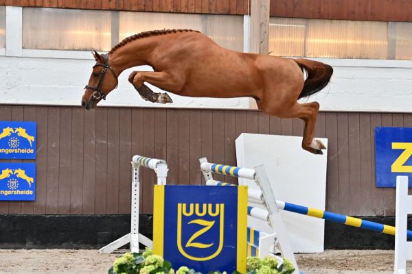 im-the-best-des-guy im-the-best-des-guy