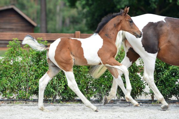 20200726-ga79688-1 20200726-ga79688-1