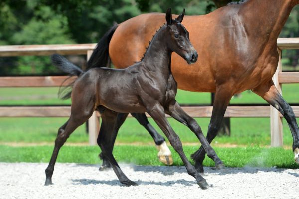 20200719-ga74750-1 20200719-ga74750-1