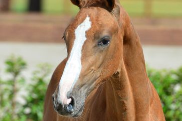 20200726-ga79126-1 20200726-ga79126-1