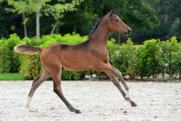 20200725-ga75916-1 20200725-ga75916-1