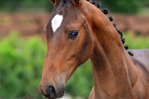 20200725-ga75586-1 20200725-ga75586-1