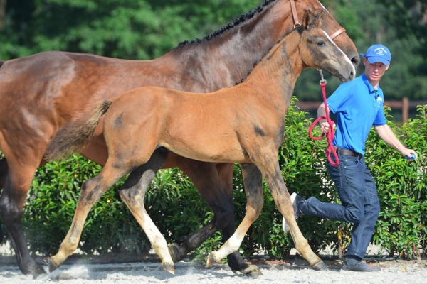 20200719-ga72193-1 20200719-ga72193-1