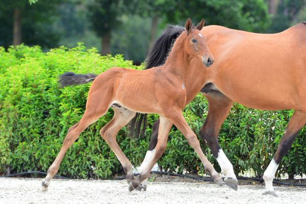 20200717-ga77913-1 20200717-ga77913-1