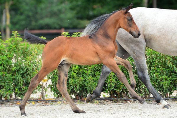 20200725-ga76247-1 20200725-ga76247-1