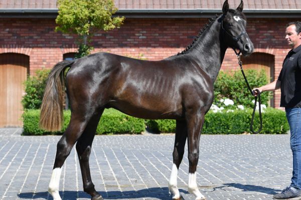 20200624-ga67568-sheriff-2 20200624-ga67568-sheriff-2