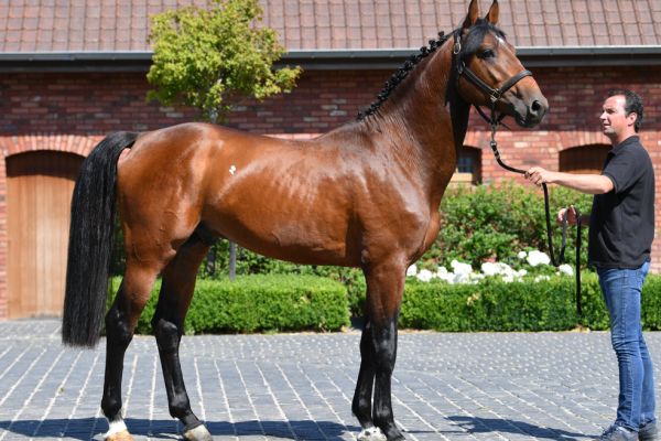 20200624-ga67448-attack-2 20200624-ga67448-attack-2