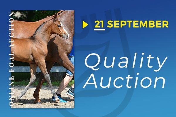 veiling-68_foto veiling-68_foto