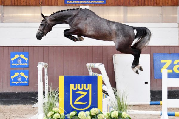 20200710-ga60503-rianna-70 20200710-ga60503-rianna-70