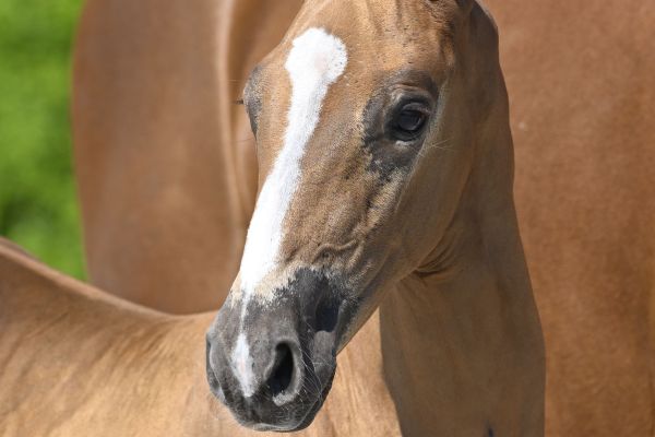 As Right As Rain Z 2 As Right As Rain Z 2